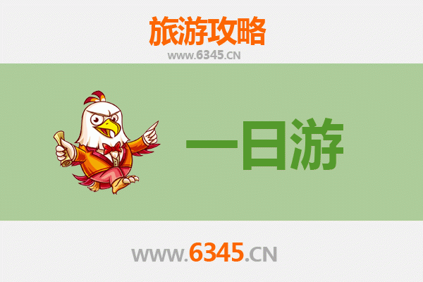 万宁国营东兴农场一日游攻略：热带风情与农趣体验
