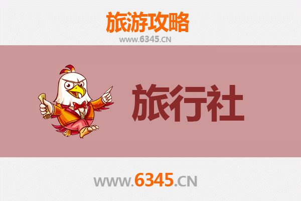 万宁国营东兴农场本地旅行社推荐：深度体验热带农业与自然风光