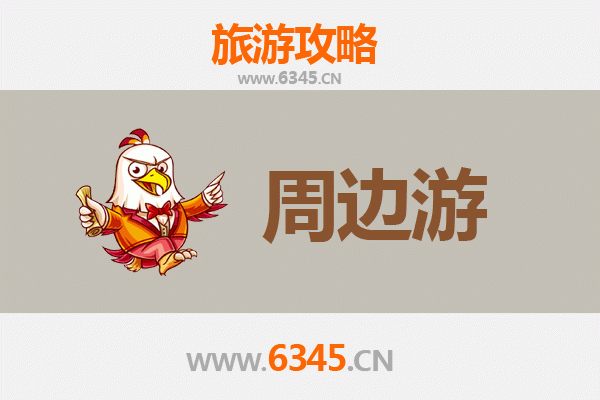 万宁国营东兴农场周边游攻略：探秘海南热带风情与农场体验